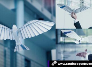 pájaro robot - CantineoqueteveoNews
