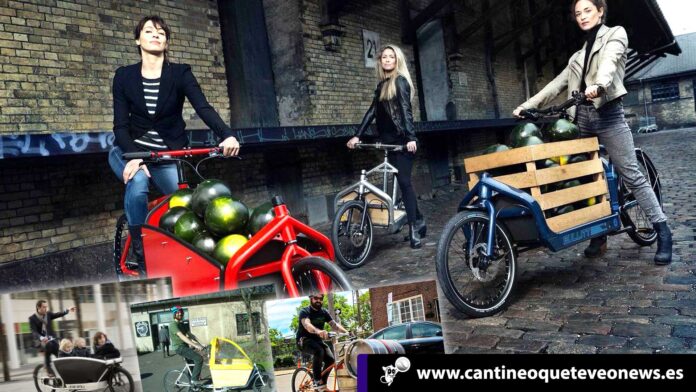 Cantineo-Conoce-la-nueva-apuesta-ecológica-alemana-Las-bicicletas-cargo bicicletas cargo - Cantineoqueteveonews