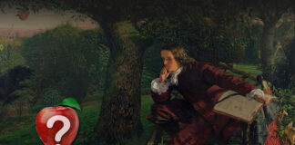 Investigación: La manzana de Newton nunca le cayó en la cabeza manzana de Newton - Cantineoquetevenews