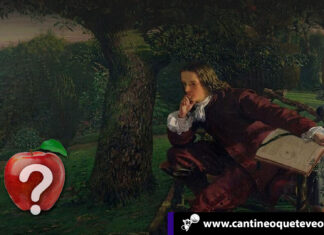 Investigación: La manzana de Newton nunca le cayó en la cabeza manzana de Newton - Cantineoquetevenews