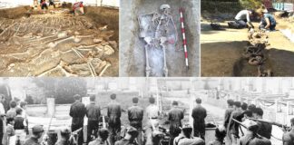 Las revelaciones de un estudio sobre las fosas de la Guerra Civil española la Guerra Civil española - Cantineoqueteveonews