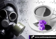 Novichok: La muerte rusa que se sirve en una taza de té Novichok - Cantineoqueteveonews