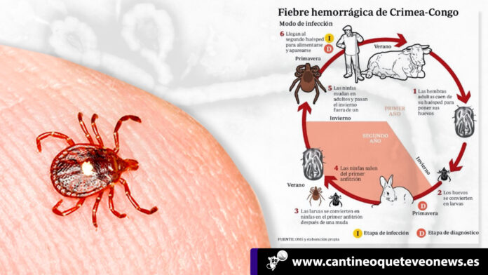 Cantineo-Reaparece-en-España-el-Virus-de-la-Fiebre-Hemorrágica-de-Crimea-Congo,-la-FHCC la FHCC - Cantineoqueteveonews