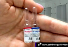 Almacenar vacunas contra el coronavirus, el otro desafío mundial Almacenar vacunas - Cantineoqueteveonews