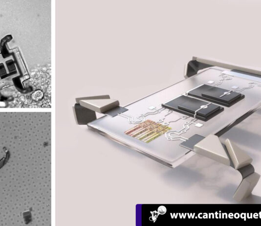 Los microrobots del grosor de un cabello que caminan en cuatro patas Los microrobots - Cantineoqueteveonews
