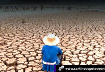 Medio UK no cree que acciones individuales mermen el cambio climático cambio climático - Cantineoqueteveonews