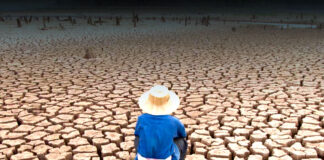 Medio UK no cree que acciones individuales mermen el cambio climático cambio climático - Cantineoqueteveonews