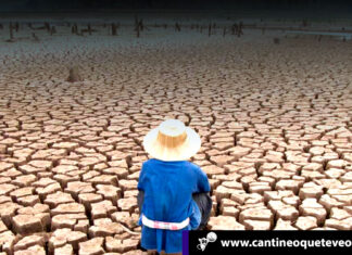 Medio UK no cree que acciones individuales mermen el cambio climático cambio climático - Cantineoqueteveonews