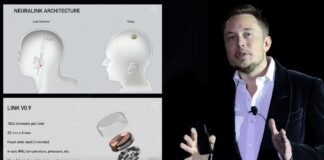 Neuralink, el chip de Elon Musk que fusiona cerebro y ordenador Neuralink - Cantineoqueteveonews