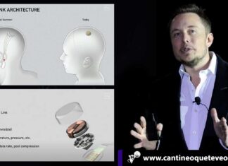 Neuralink, el chip de Elon Musk que fusiona cerebro y ordenador Neuralink - Cantineoqueteveonews