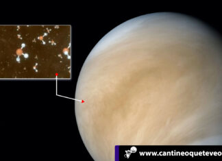 Vida en las nubes: El sorprendente hallazgo en el planeta Venus Vida en las nubes - Cantineoquetevenews