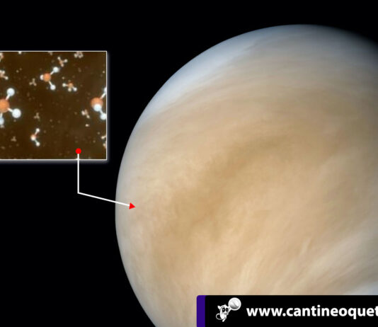 Vida en las nubes: El sorprendente hallazgo en el planeta Venus Vida en las nubes - Cantineoquetevenews