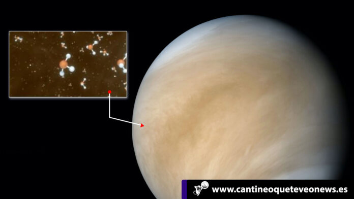 Cantineo--Vida-en-las-nubes--El-sorprendente-hallazgo-en-el-planeta-Venus Vida en las nubes - Cantineoquetevenews