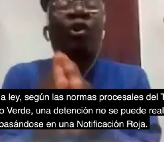 Entrevista a Femi Falana revela situación actual de liberación de Alex Saab Entrevista a Femi Falana