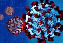 España: La variante Delta nos amarga el verano al sector del turismo La variante Delta