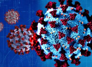 España: La variante Delta nos amarga el verano al sector del turismo La variante Delta