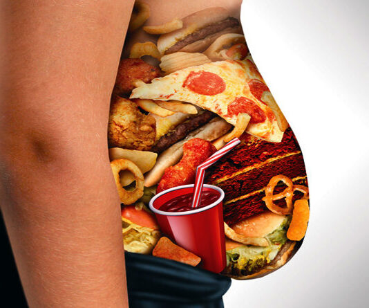 Países Bajos buscan prohibir la comida chatarra o comidas no saludables Países Bajos buscan prohibir la comida chatarra