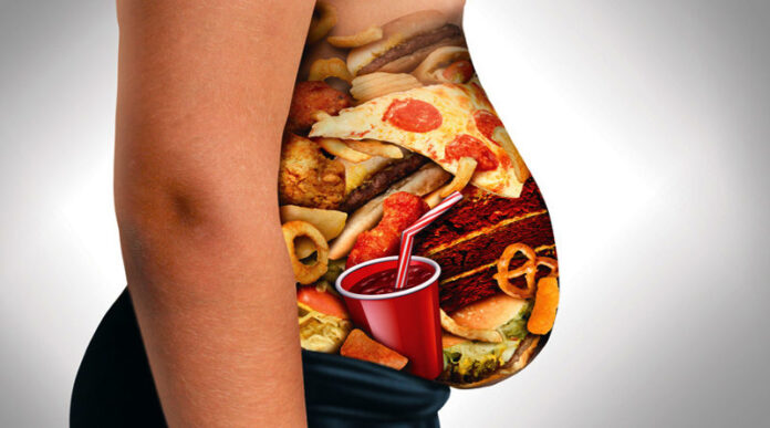 comida-chatarra-hambre-obesidad-mexico-800x445 Países Bajos buscan prohibir la comida chatarra