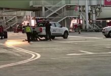 Chile: Intento de robo dejó dos muertos en un aeropuerto (+Video) Muertos en aeropuerto de Chile