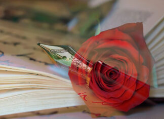 La poesía nos ayuda a desarrollar nuestra creatividad Poesía creatividad