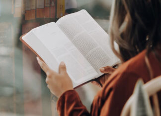 Importancia de la literatura clásica Importancia de la literatura clásica